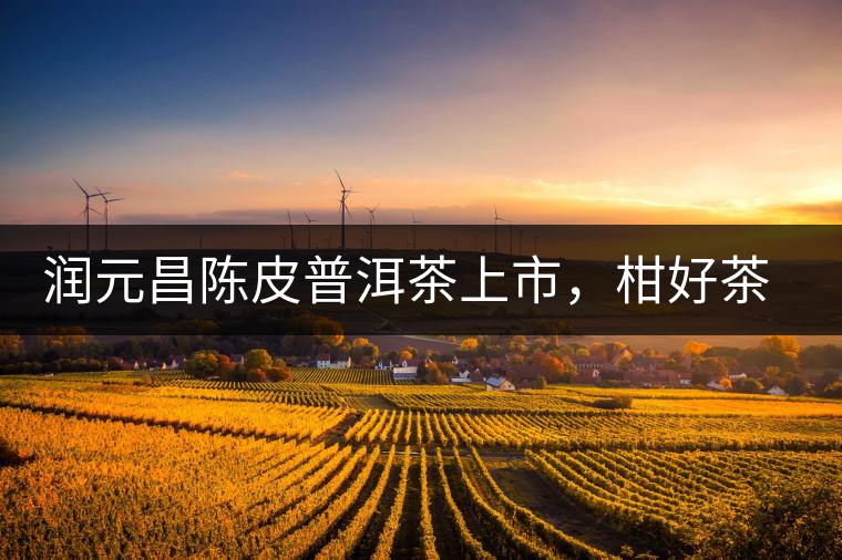 潤(rùn)元昌陳皮普洱茶上市，柑好茶更好，精品普洱茶