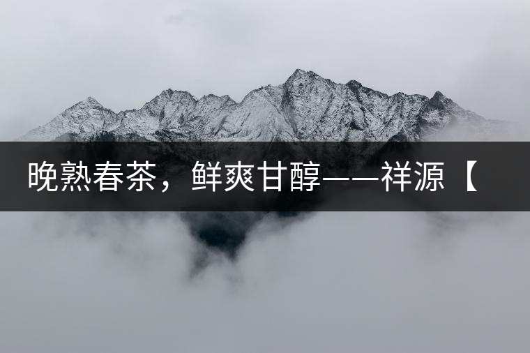 晚熟春茶，鮮爽甘醇——祥源【政和大白】清鮮上市