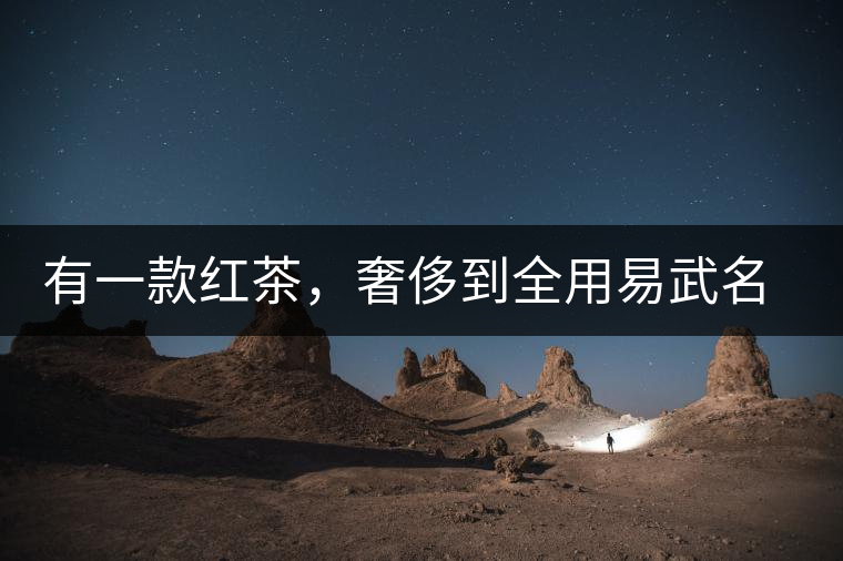 有一款紅茶，奢侈到全用易武名寨古樹茶發(fā)酵！