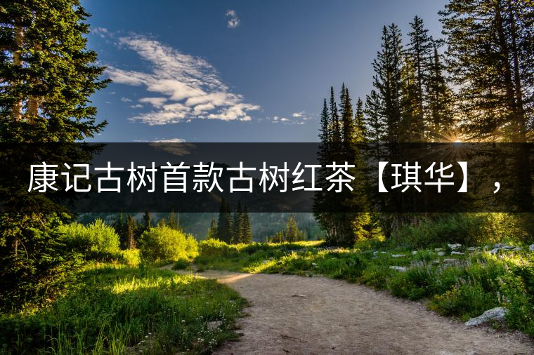 康記古樹(shù)首款古樹(shù)紅茶【琪華】，溫情上市！