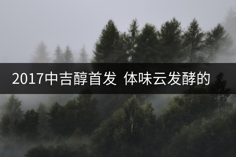 2017中吉醇首發(fā) 體味云發(fā)酵的香醇 2017中吉醇首發(fā) 體味云發(fā)酵的香醇