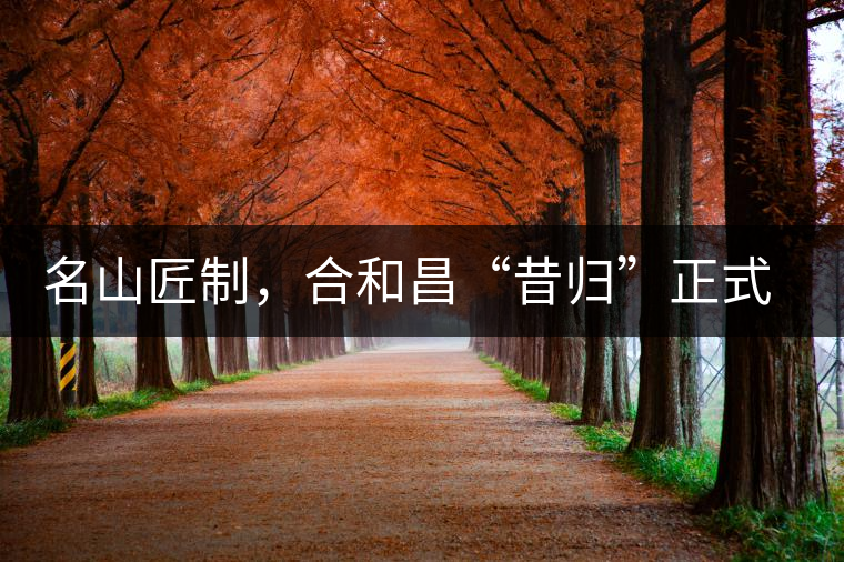 名山匠制，合和昌“昔歸”正式上市