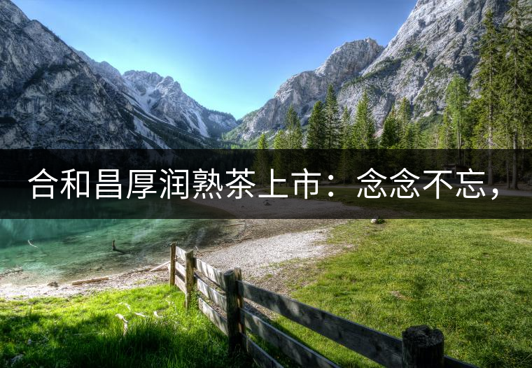 合和昌厚潤熟茶上市：念念不忘，必有回響！