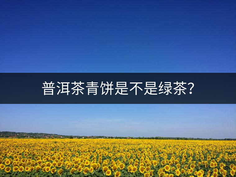 普洱茶青餅是不是綠茶？