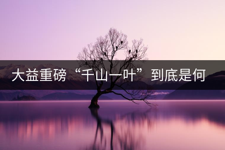 大益重磅“千山一葉”到底是何方神圣？