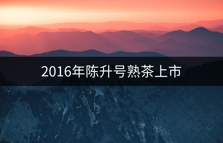 2016年陳升號熟茶上市 2016年陳升號熟茶上市