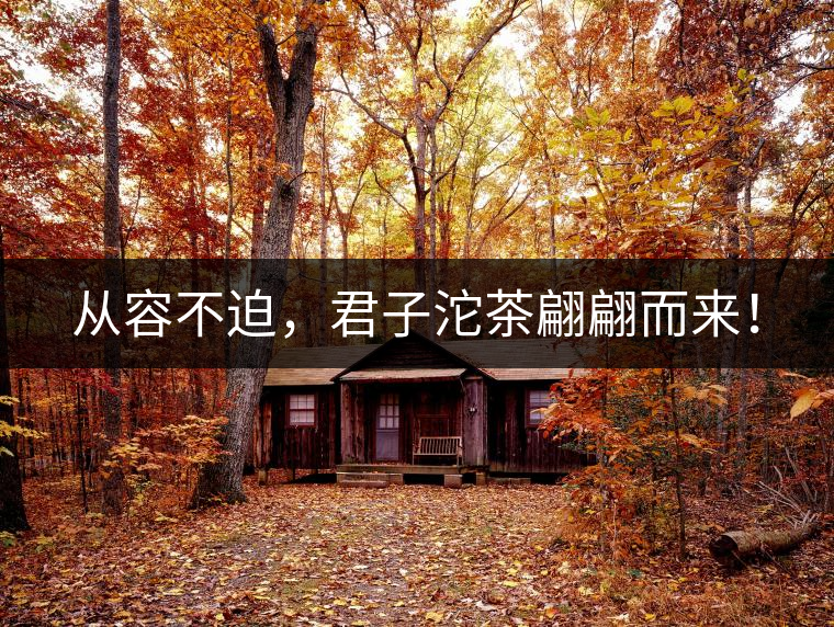 從容不迫，君子沱茶翩翩而來！