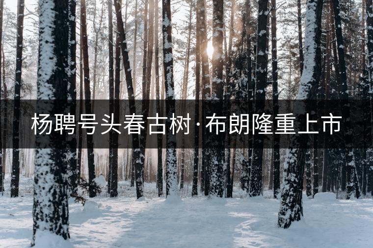 楊聘號(hào)頭春古樹·布朗隆重上市