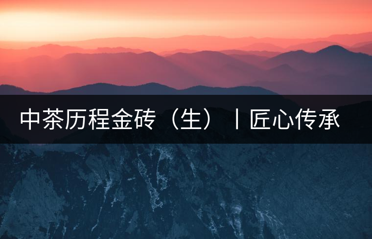 中茶歷程金磚（生）丨匠心傳承，精品迭出