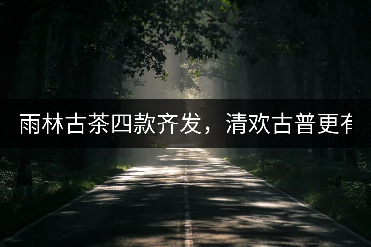 雨林古茶四款齊發(fā)，清歡古普更有味！