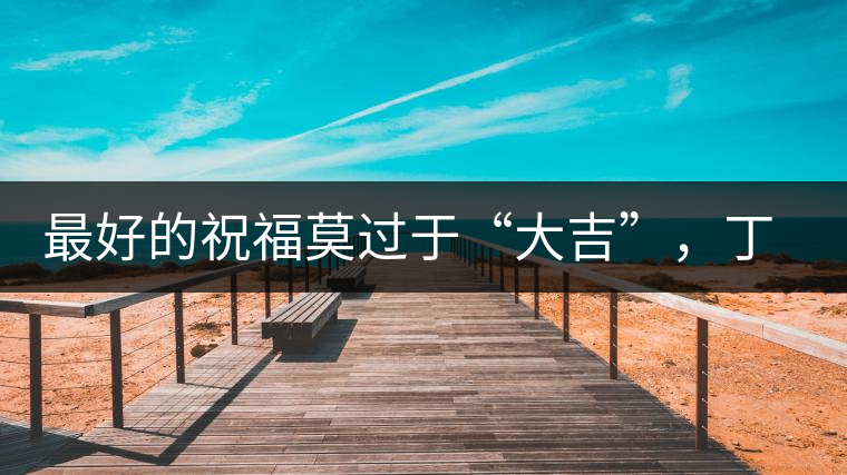 最好的祝福莫過于“大吉”，丁酉年生肖餅震撼來襲！