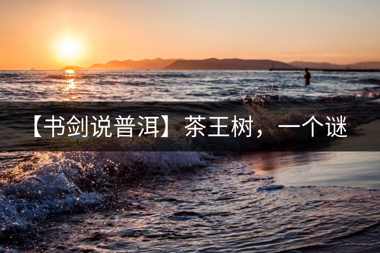 【書(shū)劍說(shuō)普洱】茶王樹(shù)，一個(gè)謎一樣的地方