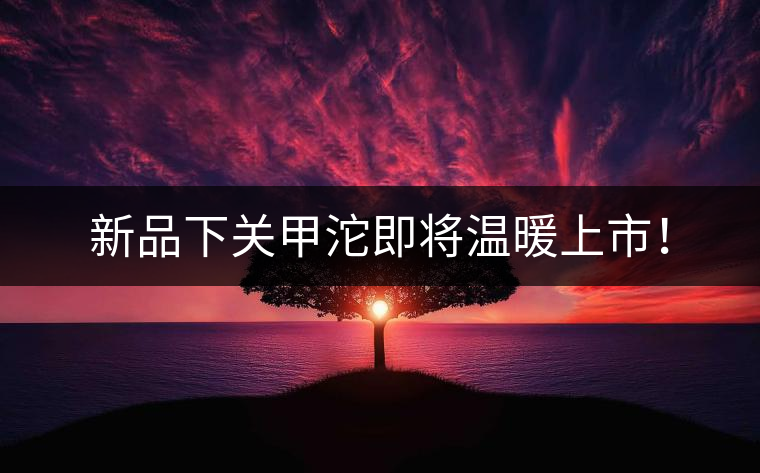 新品下關(guān)甲沱即將溫暖上市！