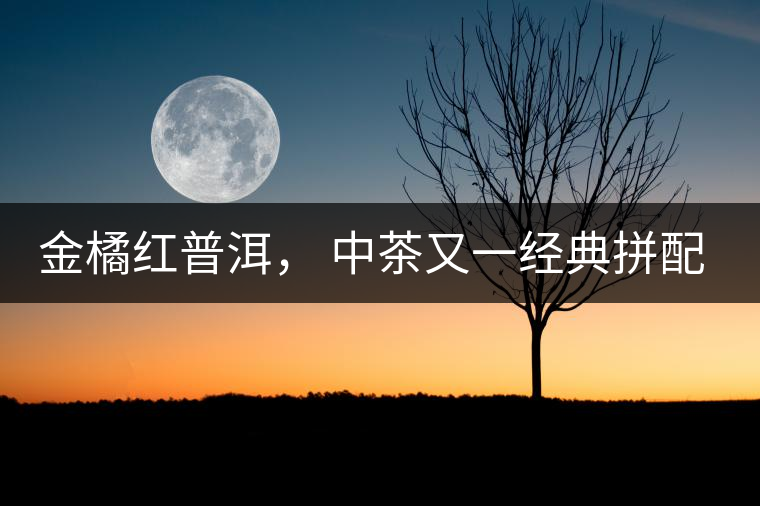 金橘紅普洱， 中茶又一經(jīng)典拼配力作，值得期待！