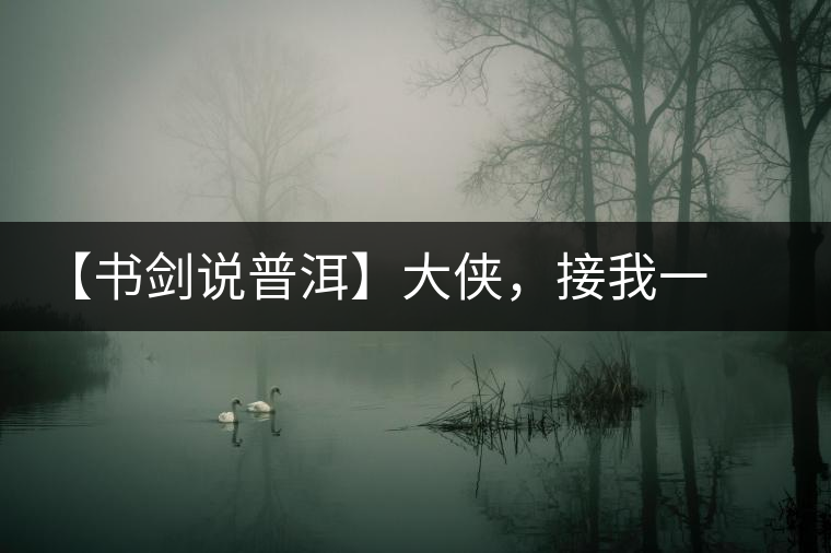 【書劍說普洱】大俠，接我一棒