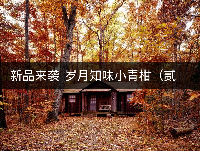 新品來襲 歲月知味小青柑(貳號)喜迎國慶 新品來襲 歲月知味小青柑(貳號)喜迎國慶