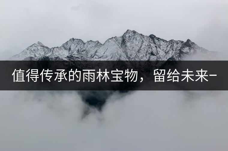 值得傳承的雨林寶物，留給未來(lái)一點(diǎn)“回甘”！