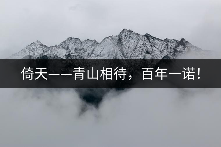 倚天——青山相待，百年一諾！
