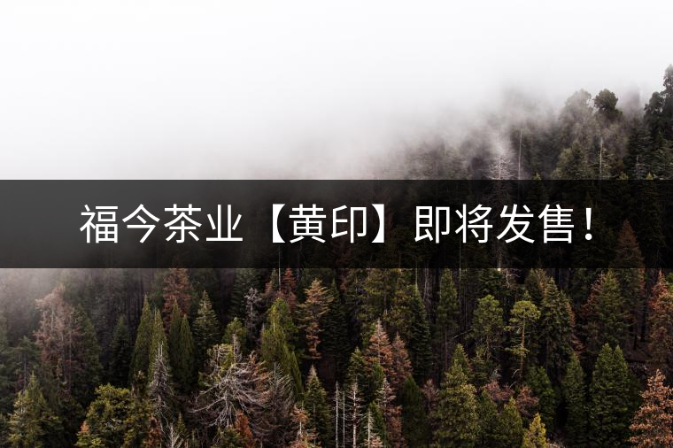 福今茶業(yè)【黃印】即將發(fā)售！