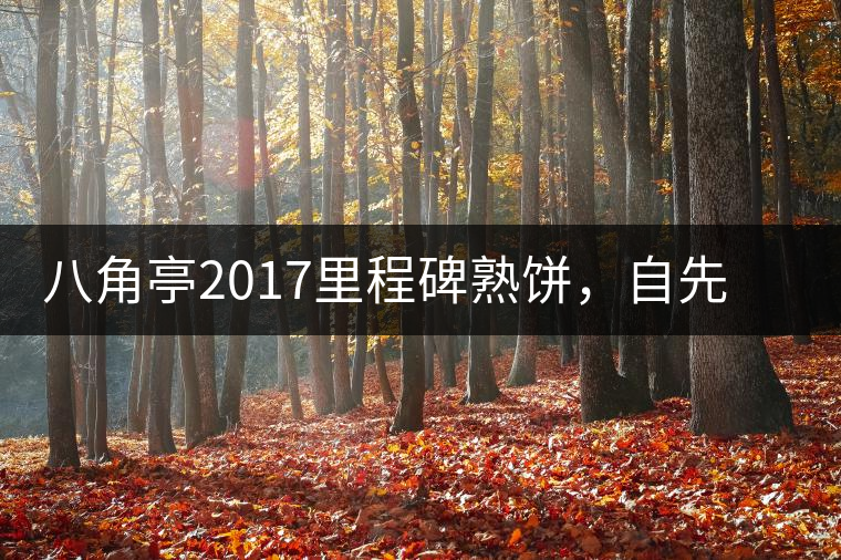 八角亭2017里程碑熟餅，自先發(fā)酵而后愛人