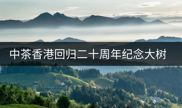 中茶香港回歸二十周年紀(jì)念大樹(shù)普洱茶上市