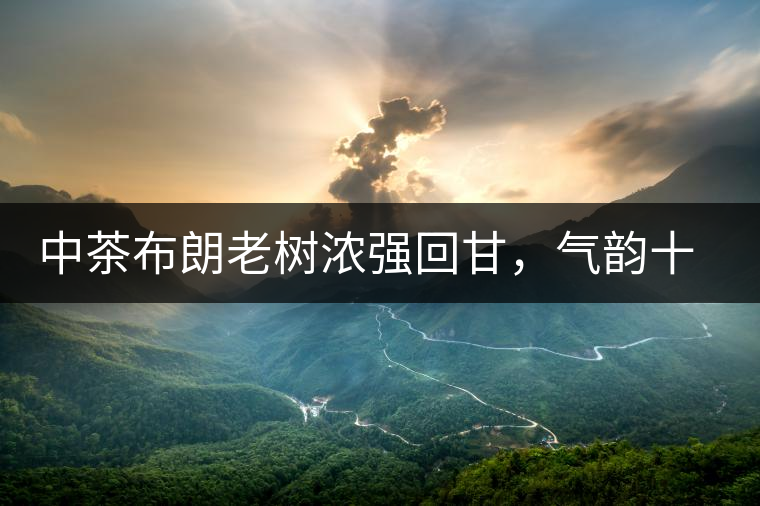 中茶布朗老樹濃強(qiáng)回甘，氣韻十足