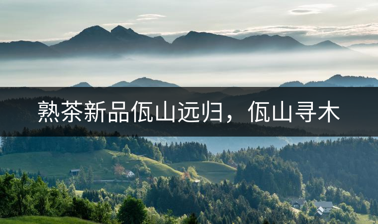 熟茶新品佤山遠(yuǎn)歸，佤山尋木