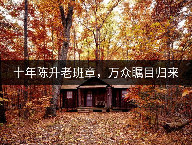 十年陳升老班章，萬眾矚目歸來