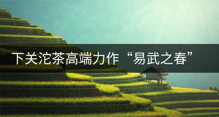 下關沱茶高端力作“易武之春”即將上市