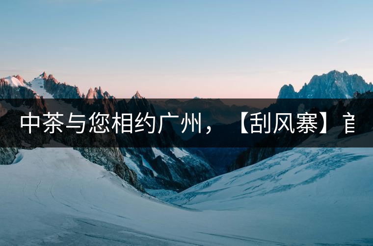 中茶與您相約廣州，【刮風寨】首次亮相！