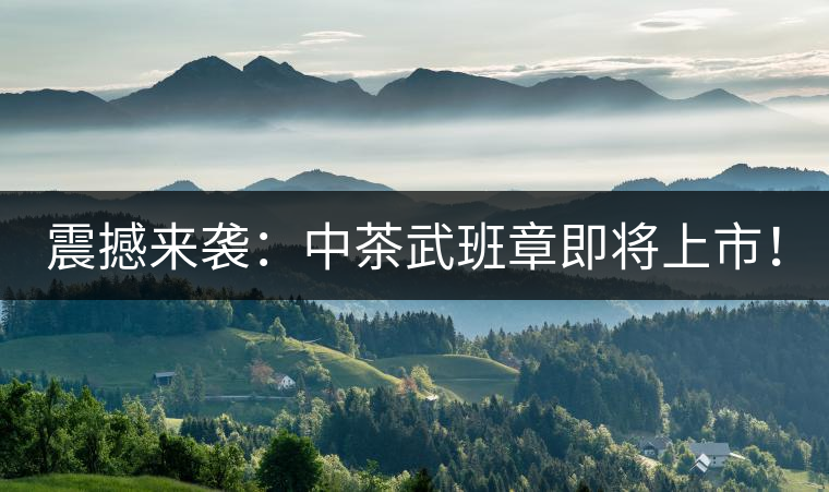 震撼來(lái)襲：中茶武班章即將上市！