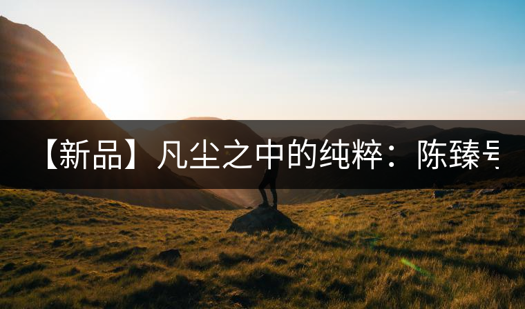 【新品】凡塵之中的純粹：陳臻號(hào)2016年精品青餅即將上市！