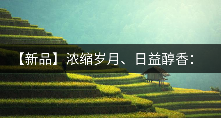 【新品】濃縮歲月、日益醇香：陳臻號陳品熟餅即將上市！