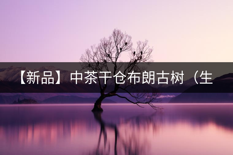 【新品】中茶干倉(cāng)布朗古樹(shù)（生茶）—（電商專供） 上市