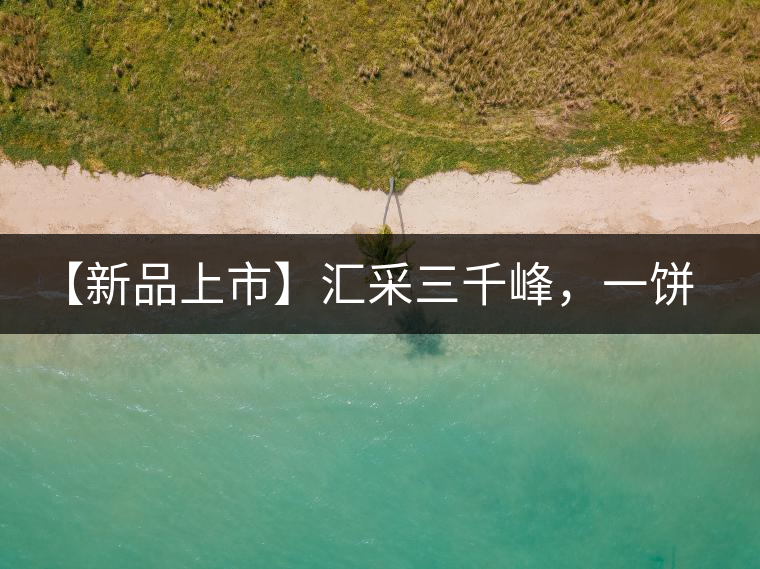 【新品上市】匯采三千峰，一餅群山鑄——群峰之峻！