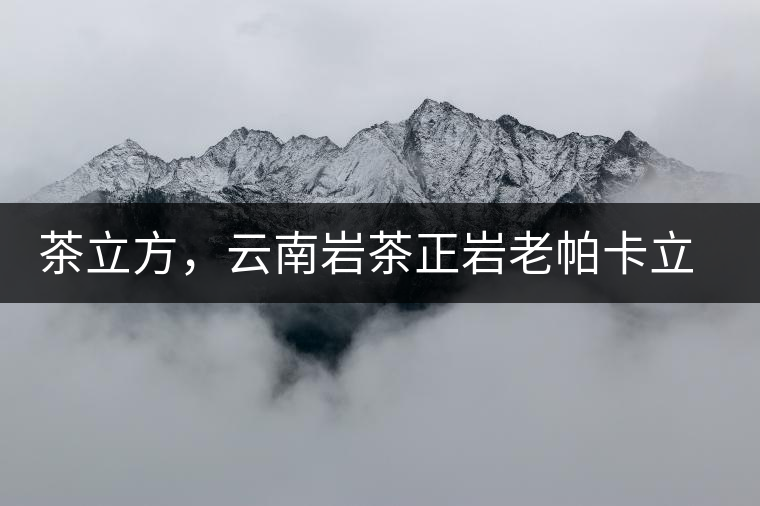 茶立方，云南巖茶正巖老帕卡立方磚今日芳香出爐