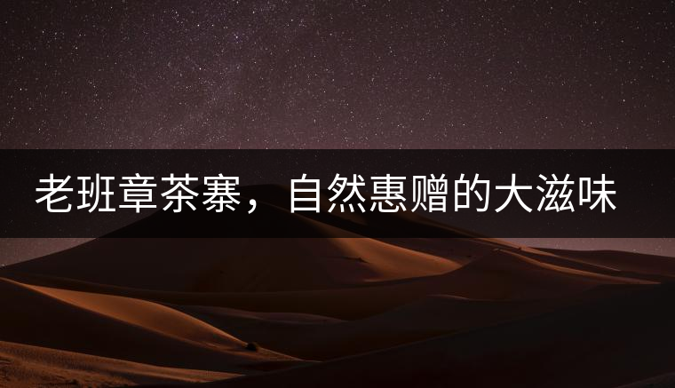 老班章茶寨，自然惠贈(zèng)的大滋味，大滿足