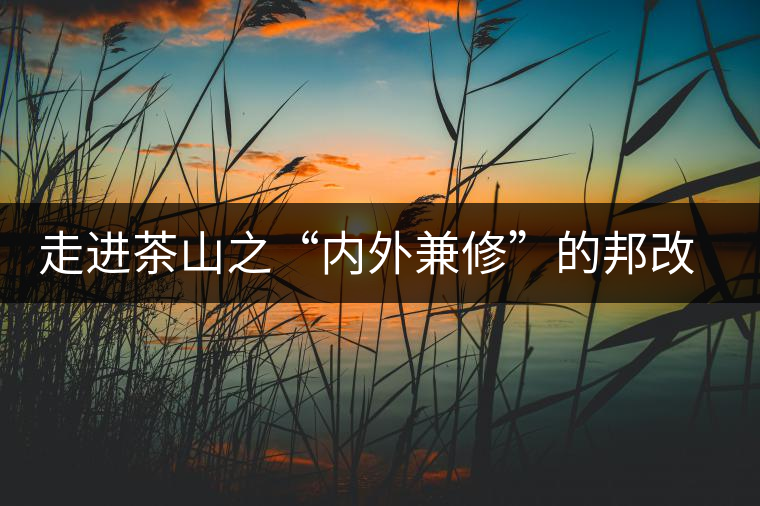 走進茶山之“內(nèi)外兼修”的邦改村