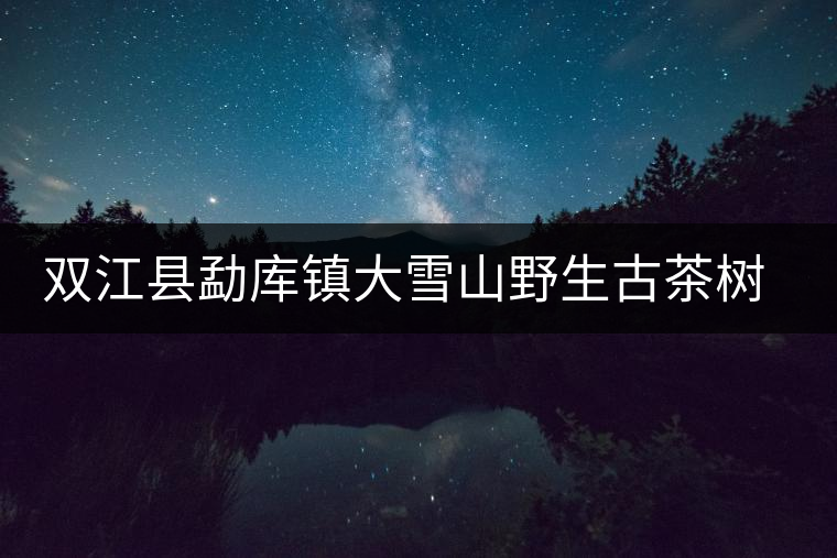 雙江縣勐庫鎮(zhèn)大雪山野生古茶樹群落簡介 雙江縣勐庫鎮(zhèn)大雪山野生古茶樹群落簡介