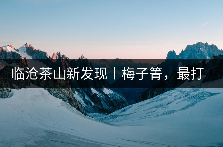 臨滄茶山新發(fā)現(xiàn)丨梅子箐，最打動自己的茶山