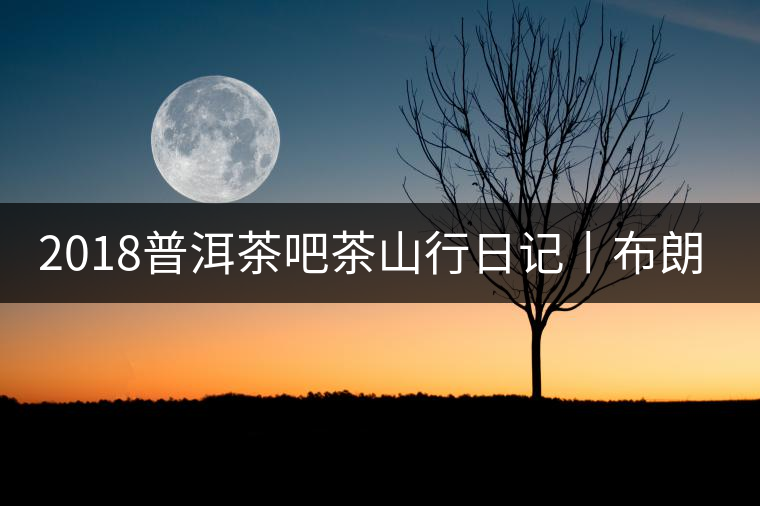 2018普洱茶吧茶山行日記丨布朗山帕點(diǎn)古茶園(一) 2018普洱茶吧茶山行日記丨布朗山帕點(diǎn)古茶園(一)
