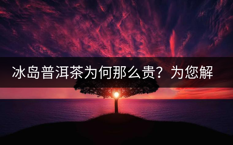 冰島普洱茶為何那么貴？為您解析其中的原由