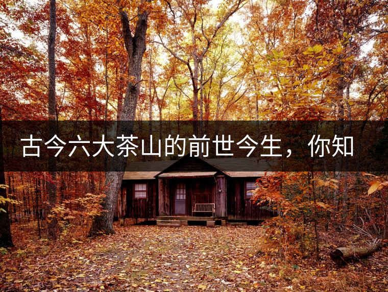 古今六大茶山的前世今生，你知多少？