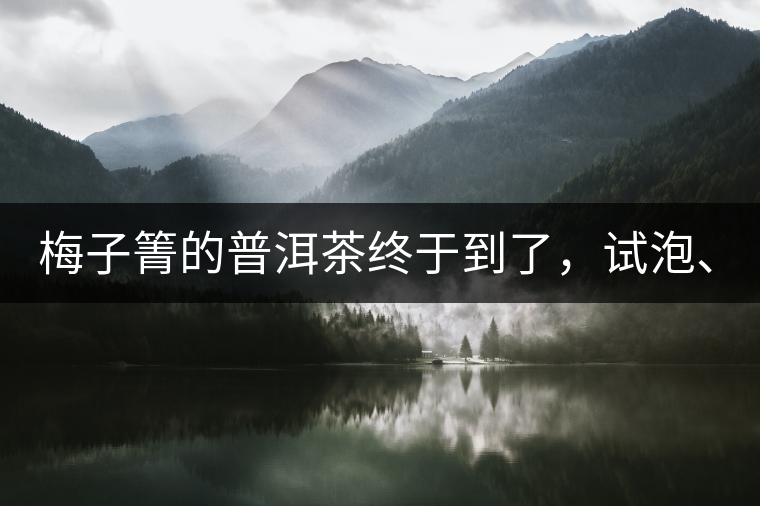 梅子箐的普洱茶終于到了，試泡、、、