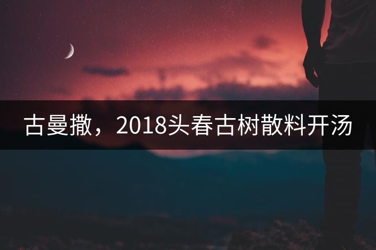 古曼撒，2018頭春古樹散料開湯