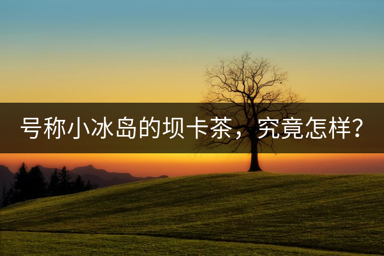 號稱小冰島的壩卡茶，究竟怎樣？