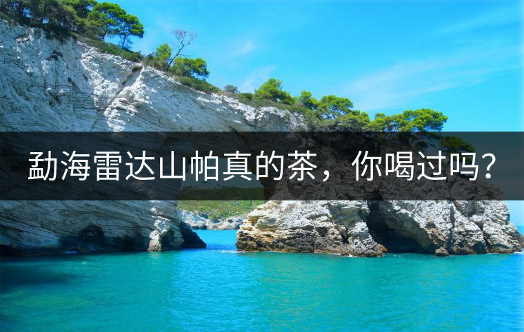 勐海雷達(dá)山帕真的茶，你喝過(guò)嗎？