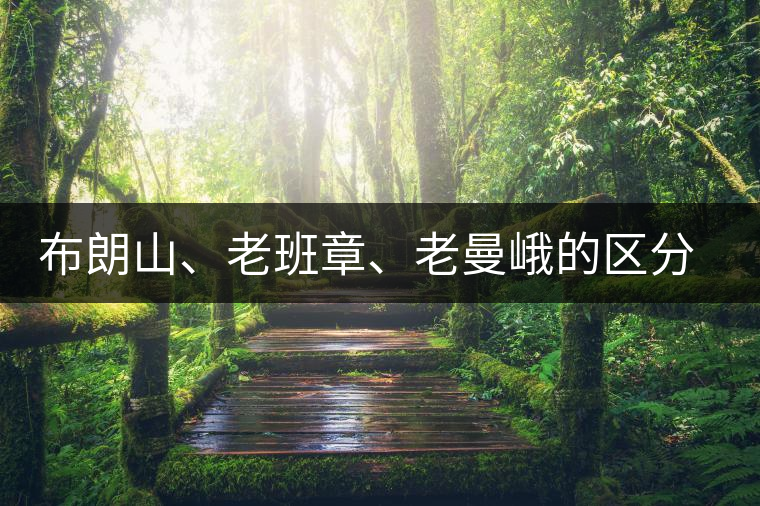 布朗山、老班章、老曼峨的區(qū)分和鑒別