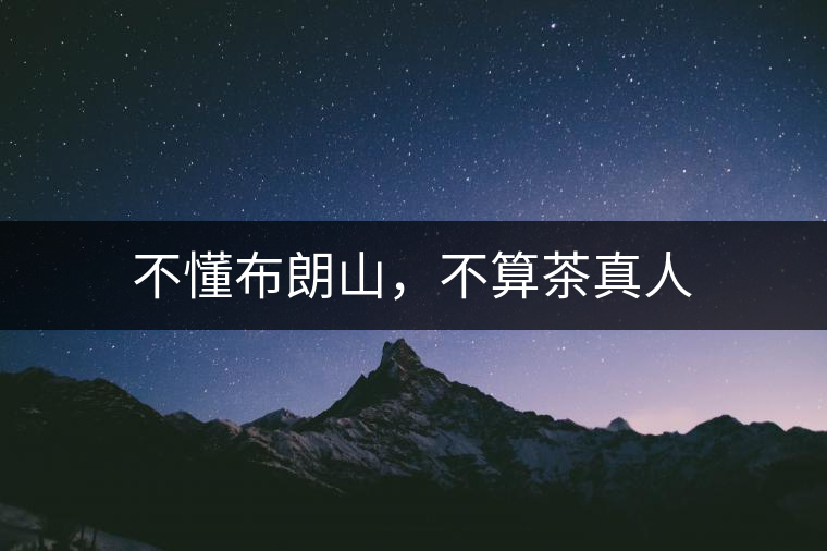 不懂布朗山，不算茶真人