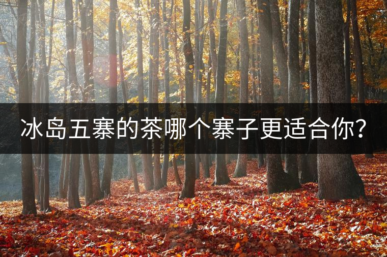 冰島五寨的茶哪個(gè)寨子更適合你？